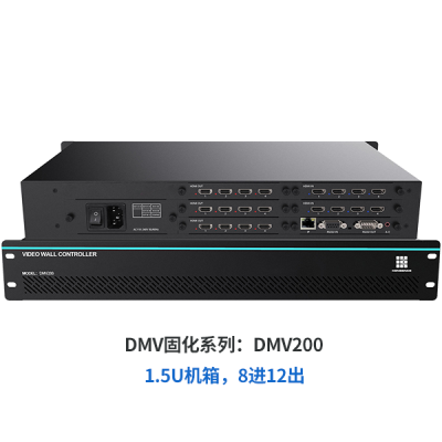 DMV系列（固化型）